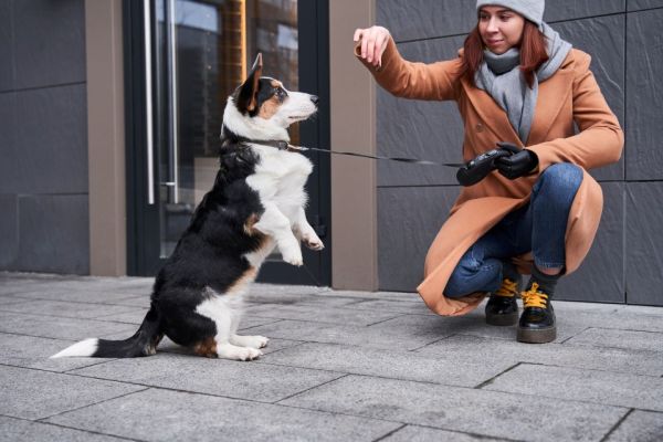 Woman with prosthetic hand kneeling with dog on leash on hind legs